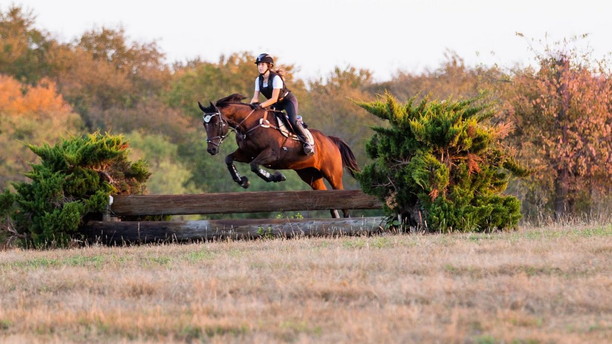 Kontrola jeździecka